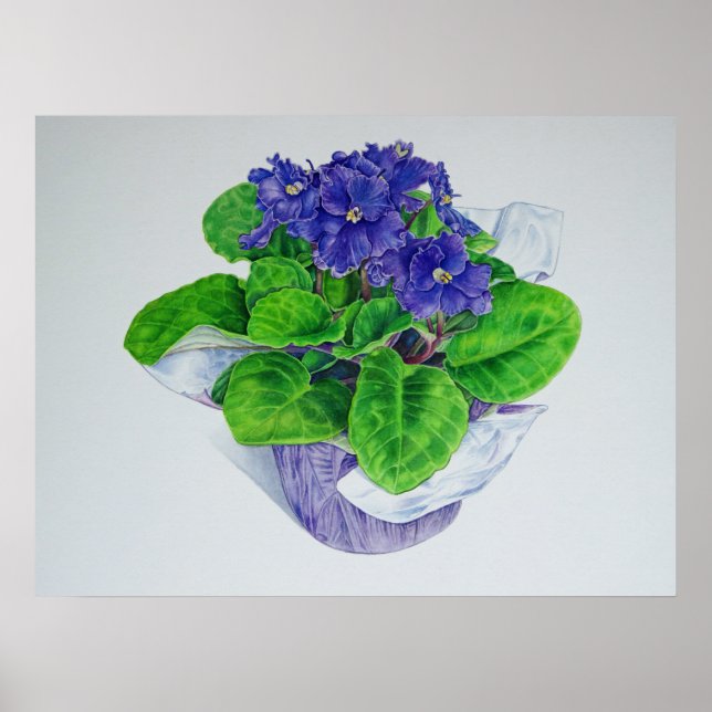African Violet Poster (Framsidan)