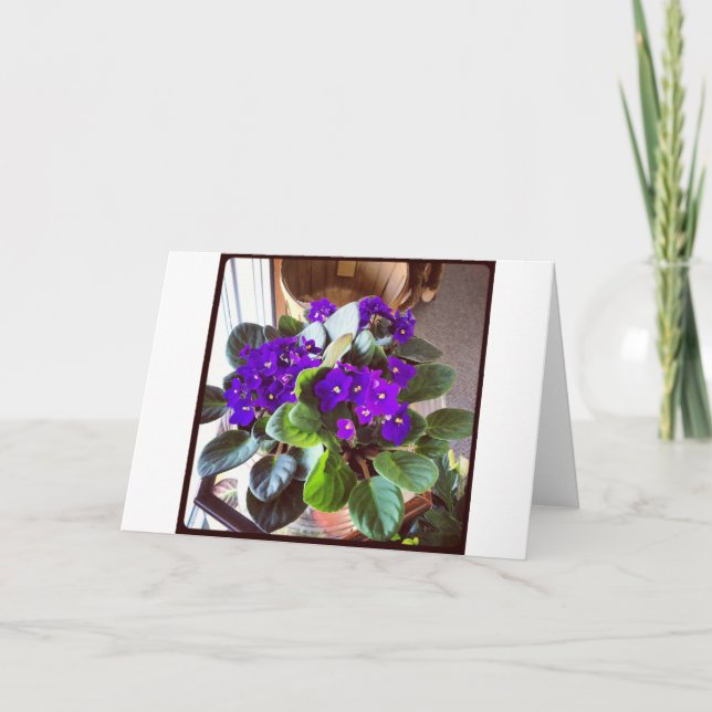 African Violet Stationery Anteckningskort (Framsida)