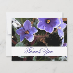 African Violet Tackkort Blommigt Tack Kort