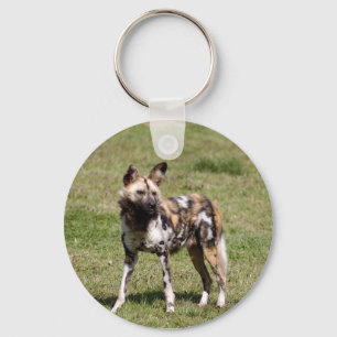 african-wild-dog-014 nyckelring