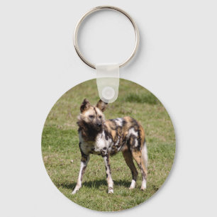 african-wild-dog-015 nyckelring