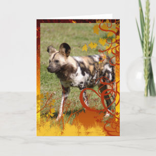 african-wild-dog-016 helgkort