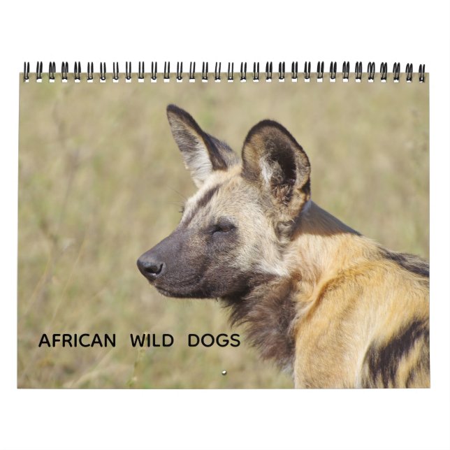 AFRICAN WILD DOGS KALENDER (Omslag)