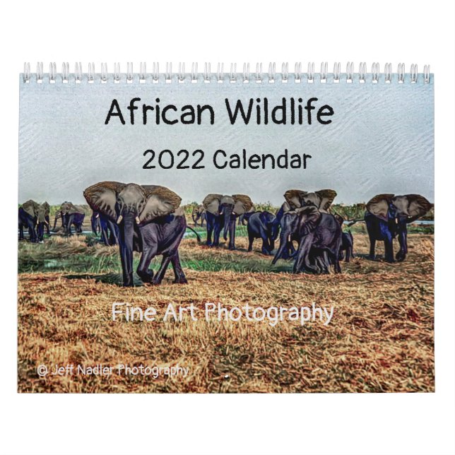 African Wildlife 2022 Calendar Kalender (Omslag)