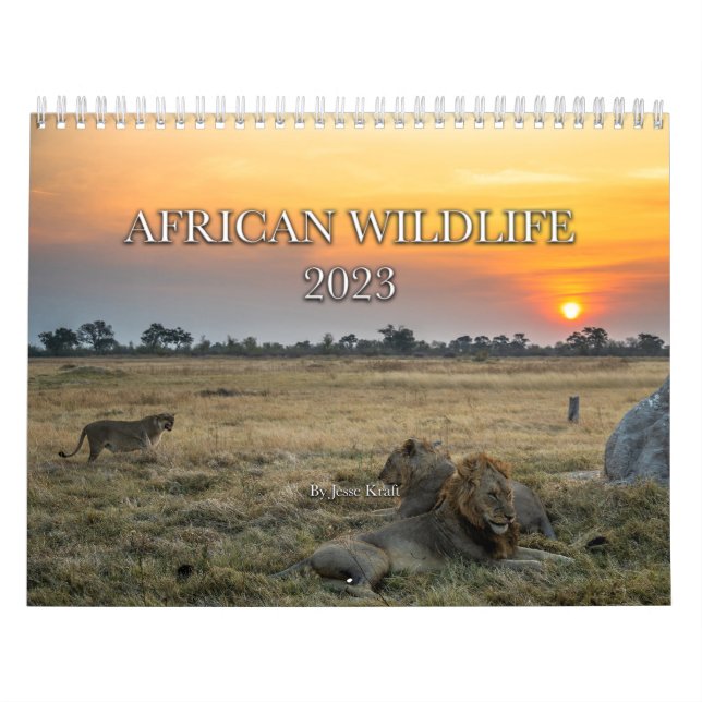 African Wildlife Calendar Kalender (Omslag)