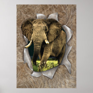 African Wildlife Poster
