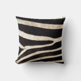 African Zebra Kudde