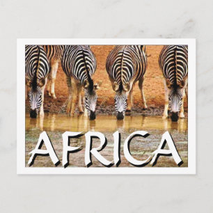 AFRICAN ZEBRA - (Mojisola Onifade) Vykort