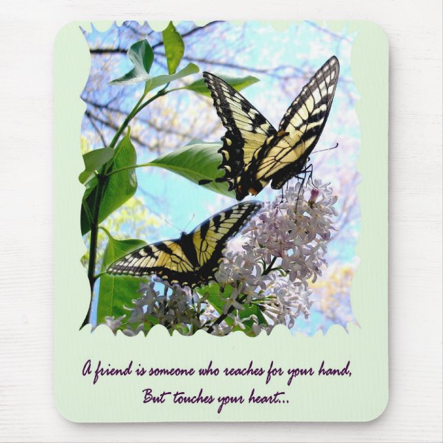 afriend musmatta (Framsidan)