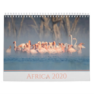 Afrika 2020 Vildlevande djur Kalender