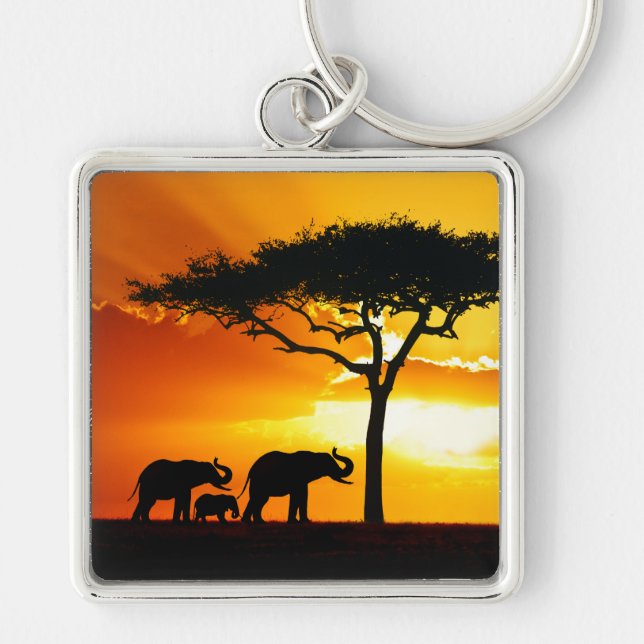 Afrika 2-nyckelkedja fyrkantig silverfärgad nyckelring (Framsidan)
