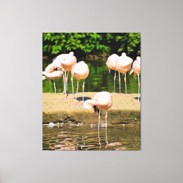 Afrika African Animal Beak | Funny Flamingo Älskar Canvastryck (Framsida)