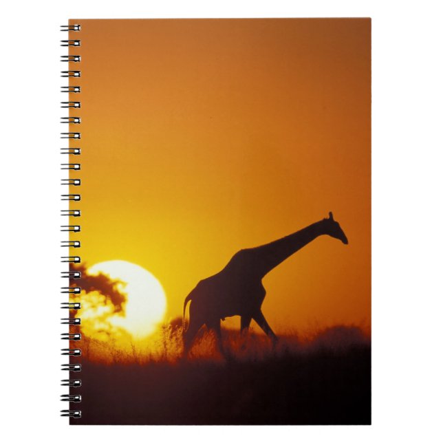 Afrika, Botswana, Chobe National Park, Giraff 2 Anteckningsbok (Framsidan)