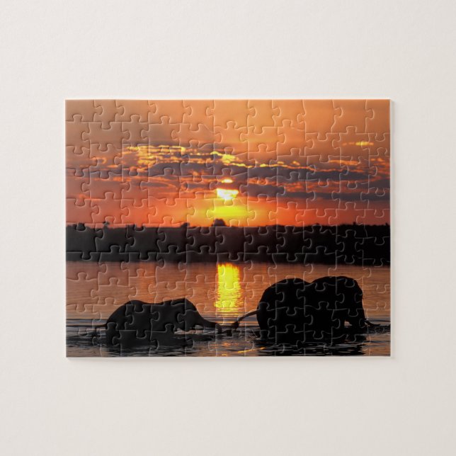 Afrika, Botswana, Chobe National Park, Herd Pussel (Horisontell)