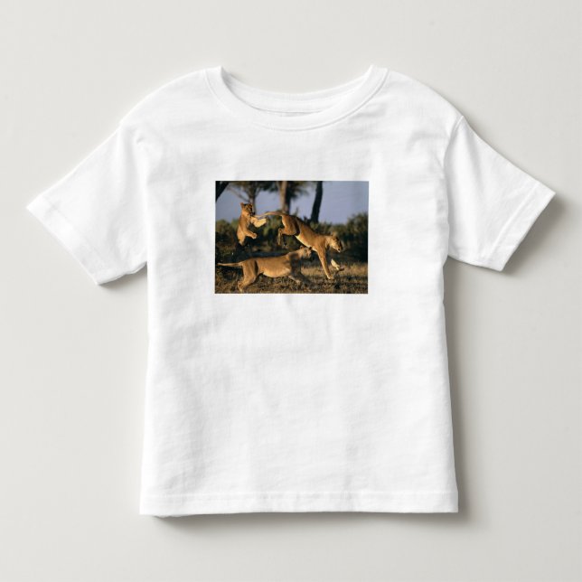 Afrika, Botswana, Chobe National Park, Lejonhannar T-shirt (Framsida)