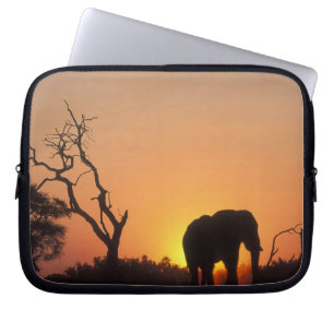 Afrika, Botswana, Chobe National Park, Solnedgång Laptop Sleeve
