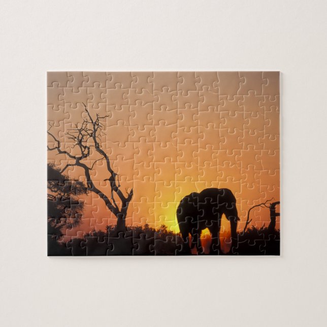 Afrika, Botswana, Chobe National Park, Solnedgång Pussel (Horisontell)