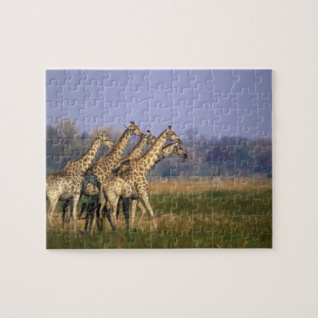 Afrika, Botswana, Moremi Game Reserve Pussel (Horisontell)