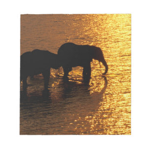 Afrika, Botswana, Okavango Delta. Afrikansk Anteckningsblock