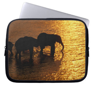 Afrika, Botswana, Okavango Delta. Afrikansk Laptop Fodral