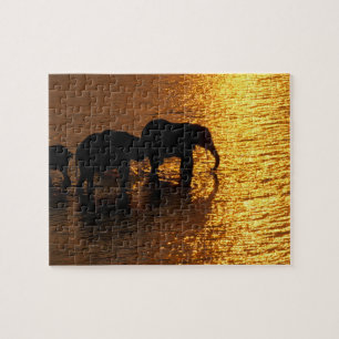 Afrika, Botswana, Okavango Delta. Afrikansk Pussel