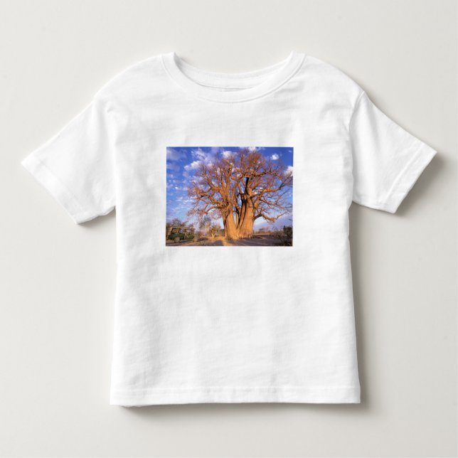 Afrika, Botswana, Okavango Delta. Baobab Tee Shirt (Framsida)