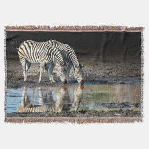 Afrika,Botswana, Okavango Delta, Davison Camp Filt