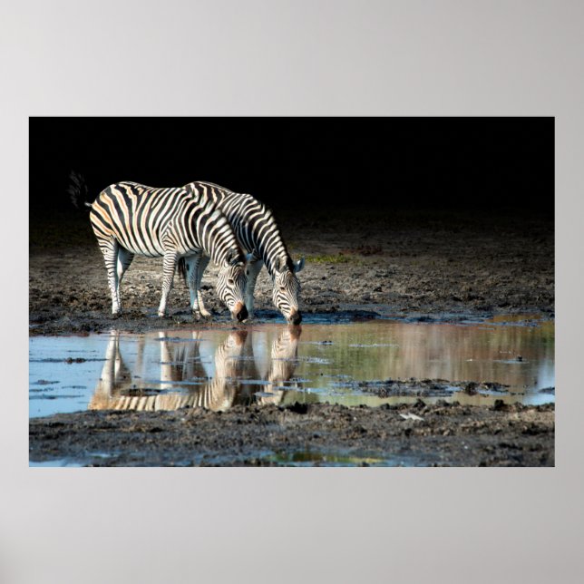 Afrika,Botswana, Okavango Delta, Davison Camp Poster (Framsidan)