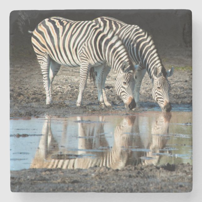 Afrika,Botswana, Okavango Delta, Davison Camp Underlägg Sten (Framsidan)
