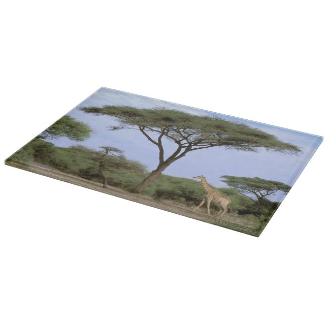 Afrika, Botswana, Okavango Delta. Södra (Hörn)