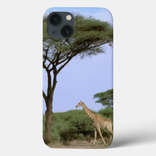 Afrika Botswana, Okavango delta. Sydligt