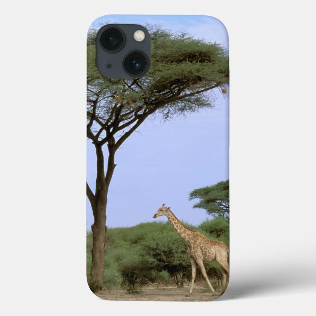 Afrika Botswana, Okavango delta. Sydligt (Baksida)