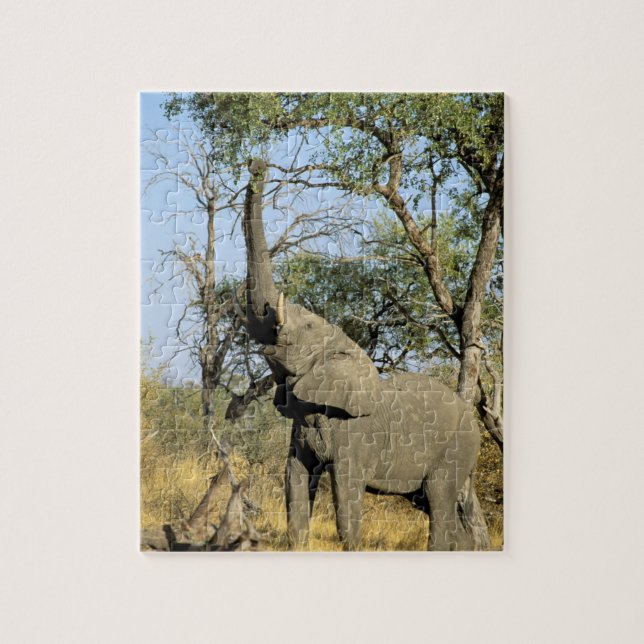 Afrika, Botswana, Okavango-deltat. Afrikansk 2 Pussel (Vertikal)