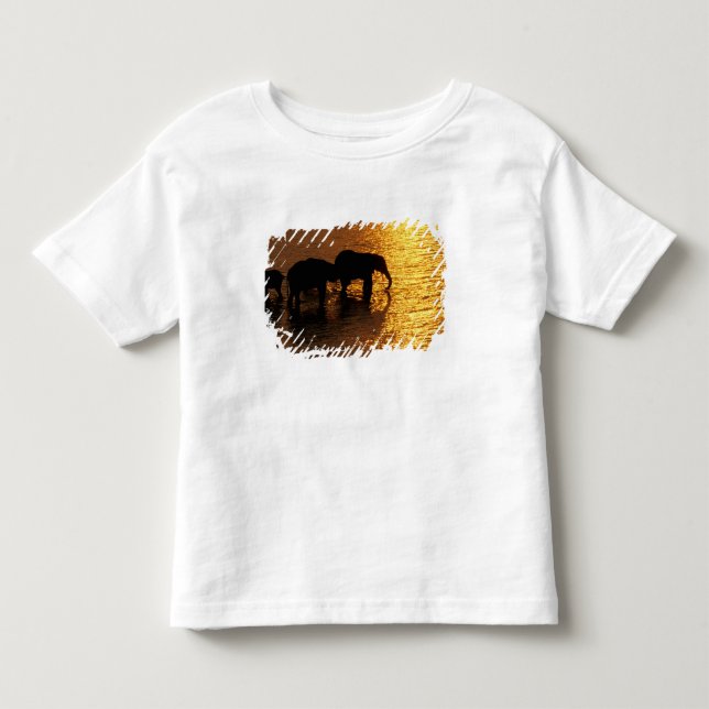 Afrika, Botswana, Okavango-deltat. Afrikansk T Shirt (Framsida)