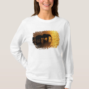 Afrika, Botswana, Okavango-deltat. Afrikanska T-shirt