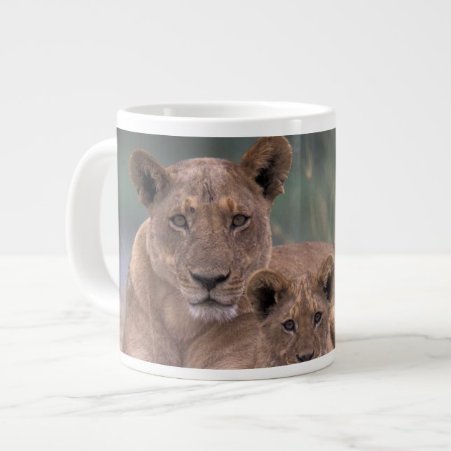 Afrika, Botswana, Okavango-deltat. Lejon Jumbo Mugg (Framsida vänster)
