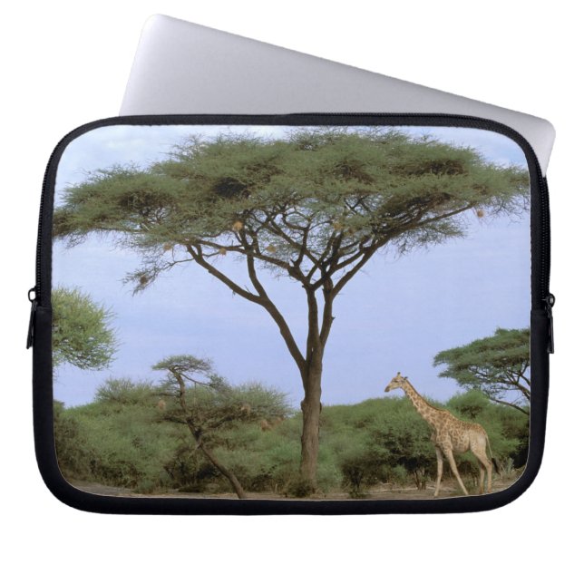 Afrika, Botswana, Okavango-deltat. Södra Laptop Sleeve (Framsidan)
