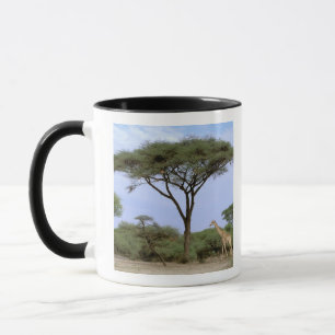 Afrika, Botswana, Okavango-deltat. Södra Mugg