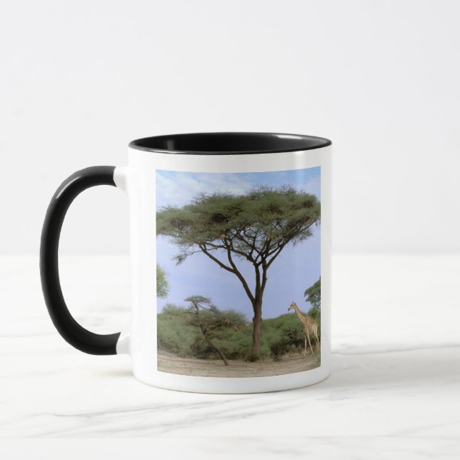Afrika, Botswana, Okavango-deltat. Södra Mugg (Vänster)