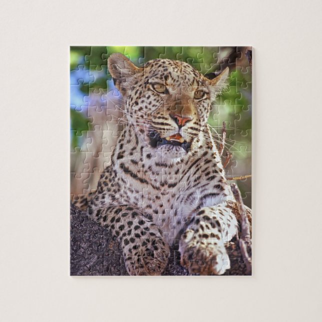 Afrika, Botswana, Okvango-deltat, vild leopard. 2 Pussel (Vertikal)