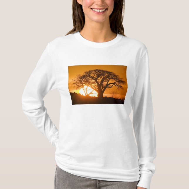 Afrika, Botswana, Setting sol silhouettes Baobab T-shirt (Framsida)