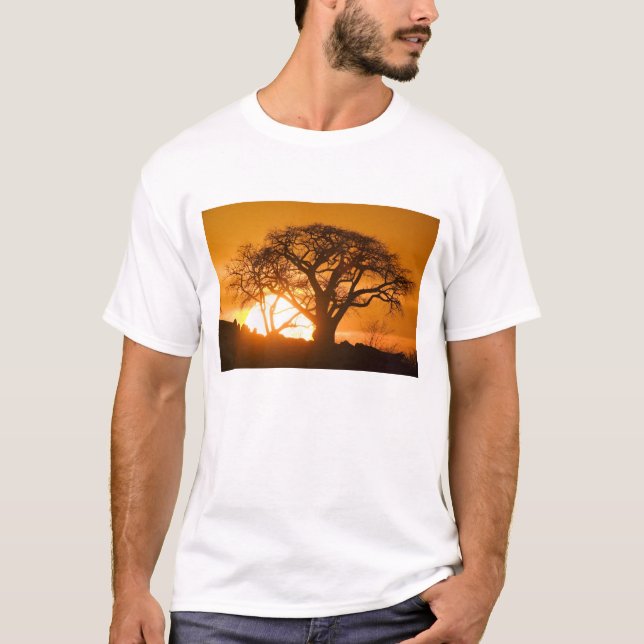 Afrika, Botswana, Setting sol silhouettes Baobab Tee Shirt (Framsida)