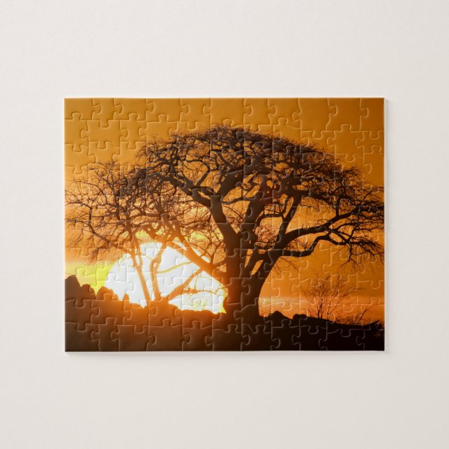 Afrika, Botswana, Solnedgång silhuetterar Baobab Pussel (Horisontell)