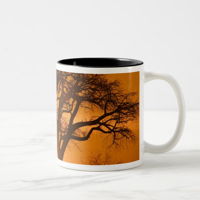 Afrika, Botswana, Solnedgång silhuetterar Baobab Två-Tonad Mugg (Höger)