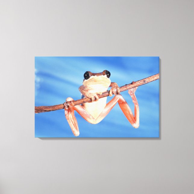 Afrika Canvastryck (Framsida)