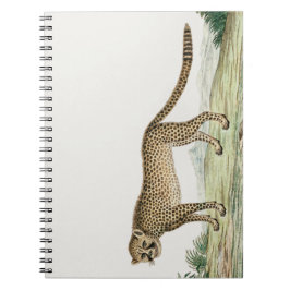Afrika Cheetah Illustration Anteckningsbok