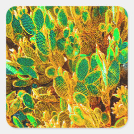 Afrika Desert Cactus Plants Prickly Pear Fyrkantigt Klistermärke