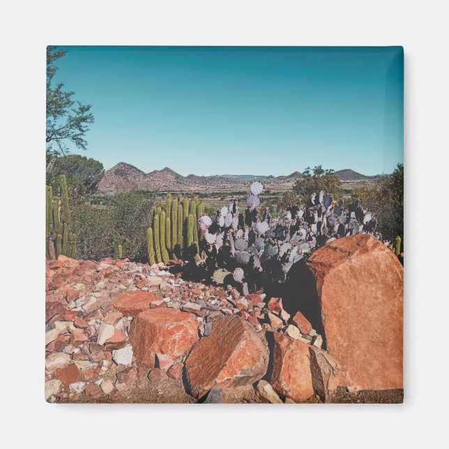Afrika Desert liggande naturomvandlingar Magnet (Framsidan)