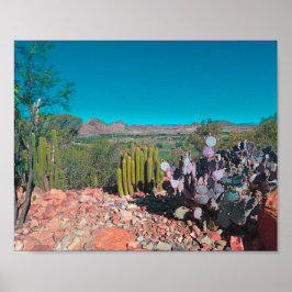 Afrika Desert liggande naturomvandlingar Poster