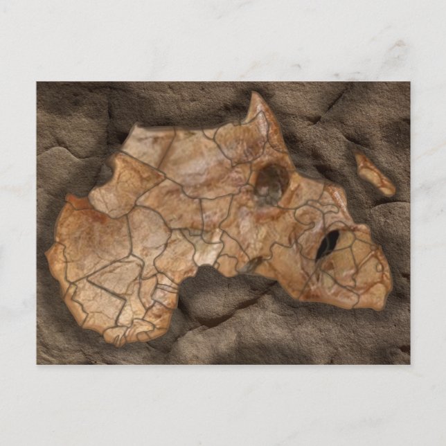 Afrika dinosauaur fossil vykort (Framsida)
